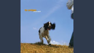 Over The Water - The Cardigans