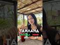 ПРАВДА/МИФ: Факты о жизни в Тайланде, которые вас удивят #правда #миф #realestate #море #азия
