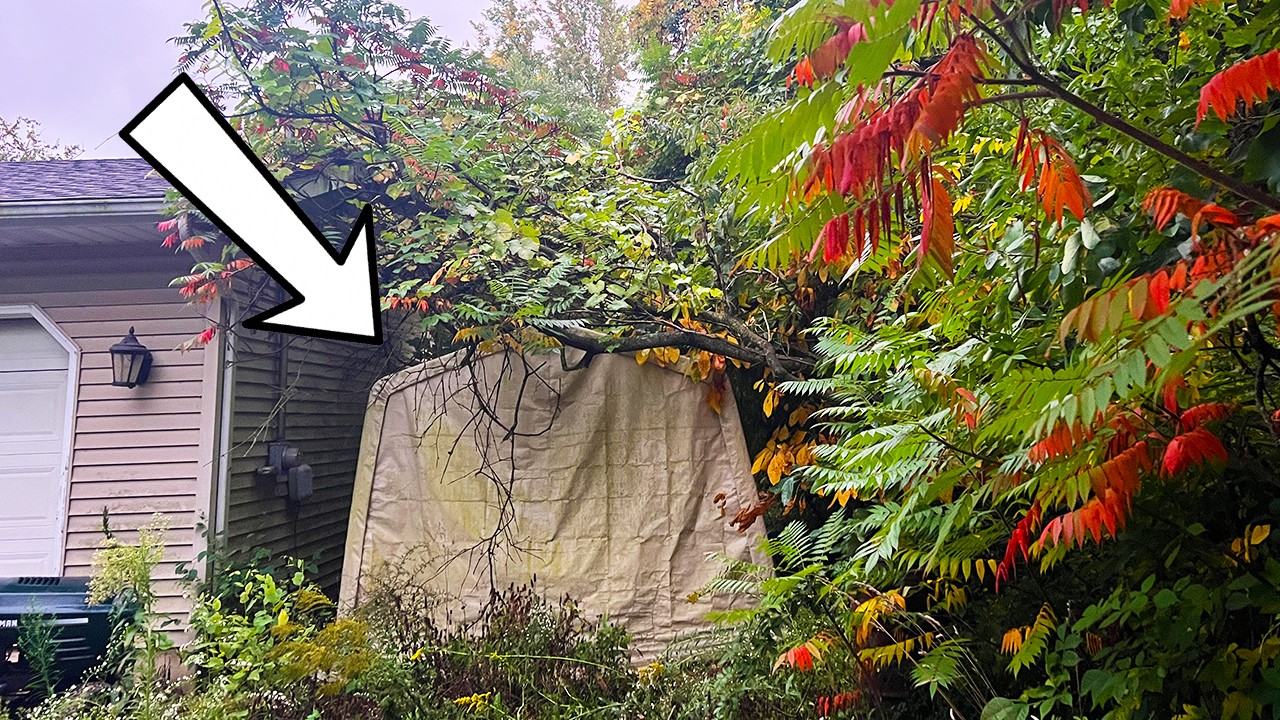 STUNNED we FOUND THIS BURIED under this OVERGROWN Yard, I ALMOST DIED