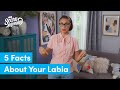 5 Facts About Your Labia | Madge the Vag | Scary Mommy