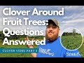 Clover in the Orchard | Questions Answered