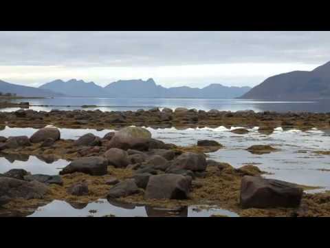 Video: Tradisi Dan Kebiasaan Norwegia