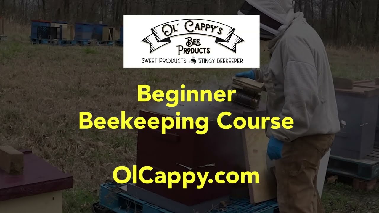 Beginner Beekeeping Course | Start Strong This Spring