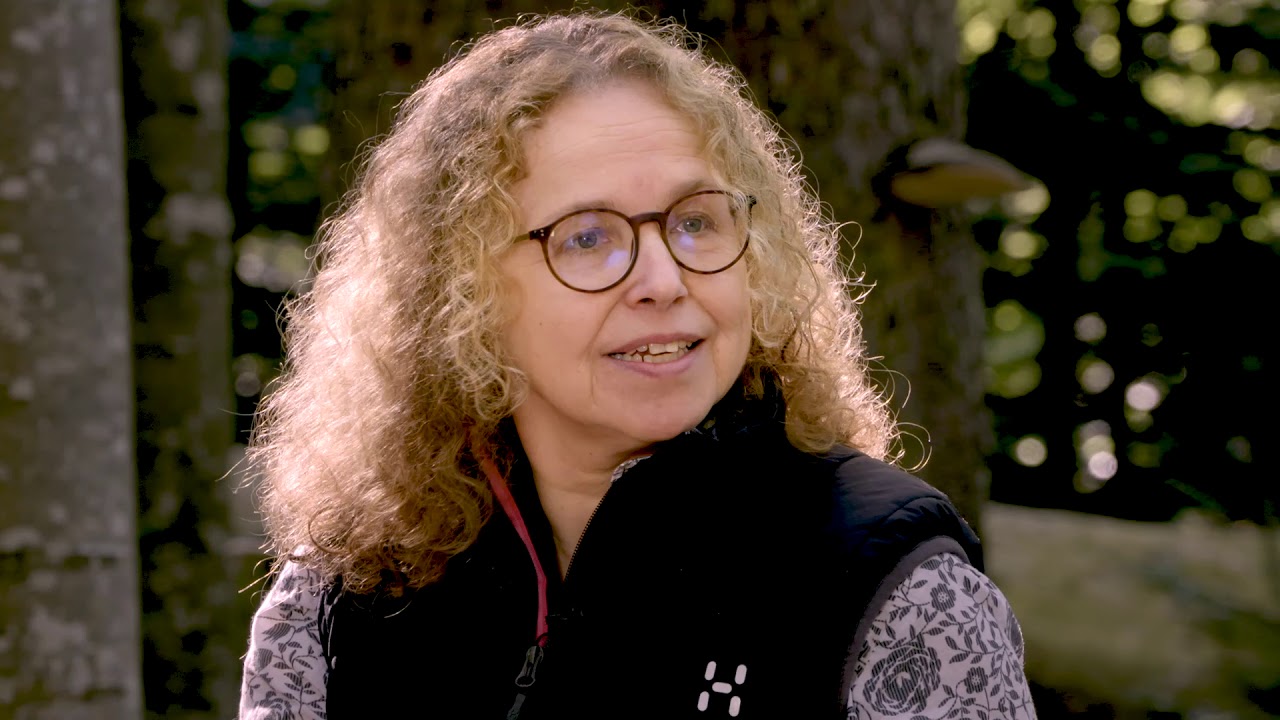 Theologie trifft Wildnis: Auf eine Baumlänge mit Gabriela Neumann-Beiler