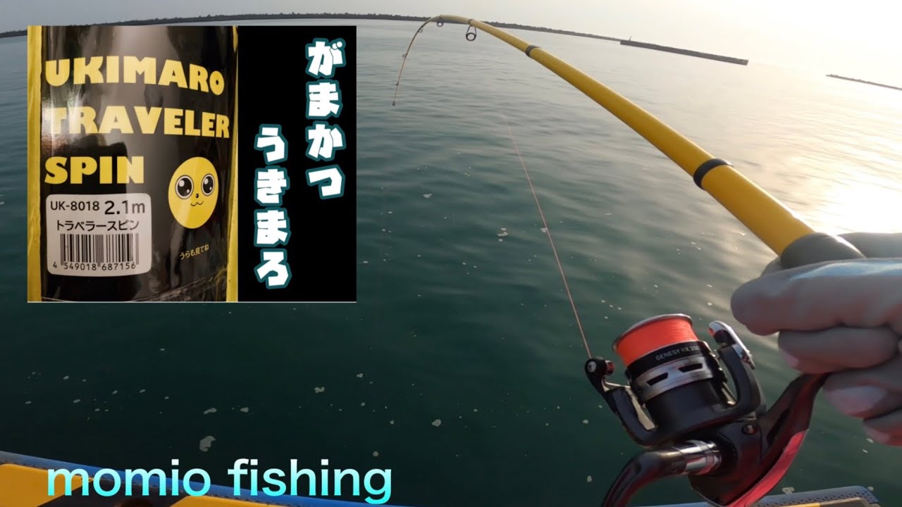 北海道釣り】がまかつ＊うきまろの竿がしなる‼️セリアのワームで