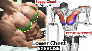 7 BEST EXERCISE LOWER CHEST WORKOUT