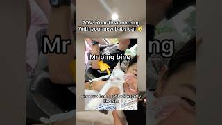 Mr Bing Bing Is Always In Our Hearts Welcome Baby Bing Into Our Family pov catfamily babycat