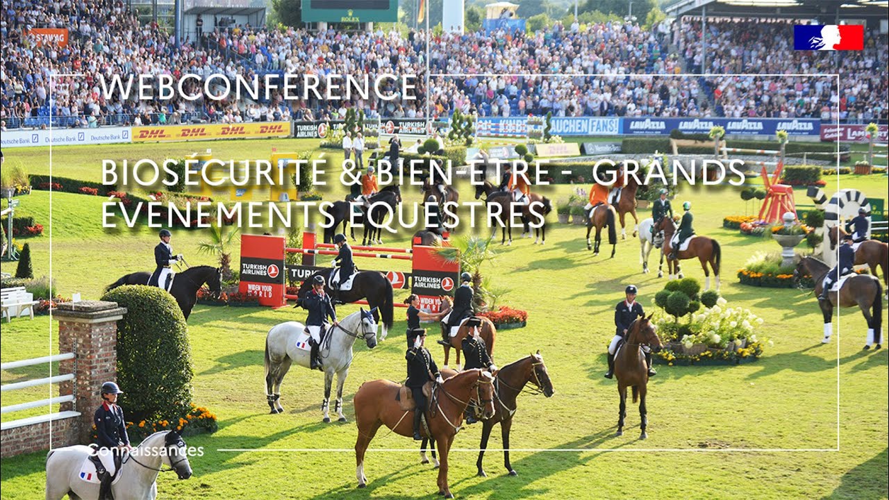 Biosécurité & bien être dans les grands évènements sportifs équestres - Anne Couroucé