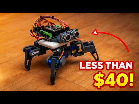 Build your Robot Pet with less than 40 dollars