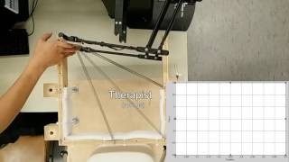 Assist-as-needed Robotic Rehabilitation Therapy Using Learning from Demonstration Wealth