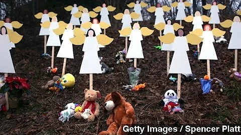 Sandy Hook Families Seek Damages From Lanza's Estate