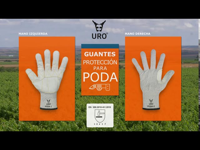 Guantes anticorte Aiars MOTOSIERRA - MAFEPE 