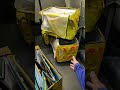 Doggos Out &amp; About #workday #deliverydriver #workwithme #amazondriver #povvlog