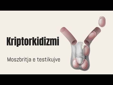 Video: Cilët faktorë mjedisorë ndikojnë në rritjen e mikrobeve?