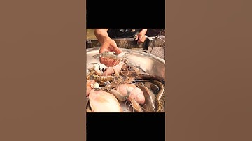 Dở 12 cửa ngục sông nước miền Tây