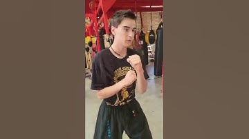 Kung Fu Basics | Punches and Blocks