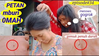 Download Lagu petan epsd#34 || babon gemuk Genk...|| PETAN MBURI OMAH || MP3