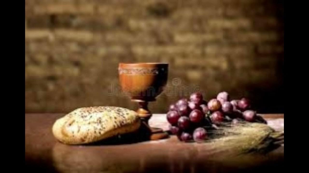 Te presentamos el vino y el pan bendito seas por siempre Señor canto