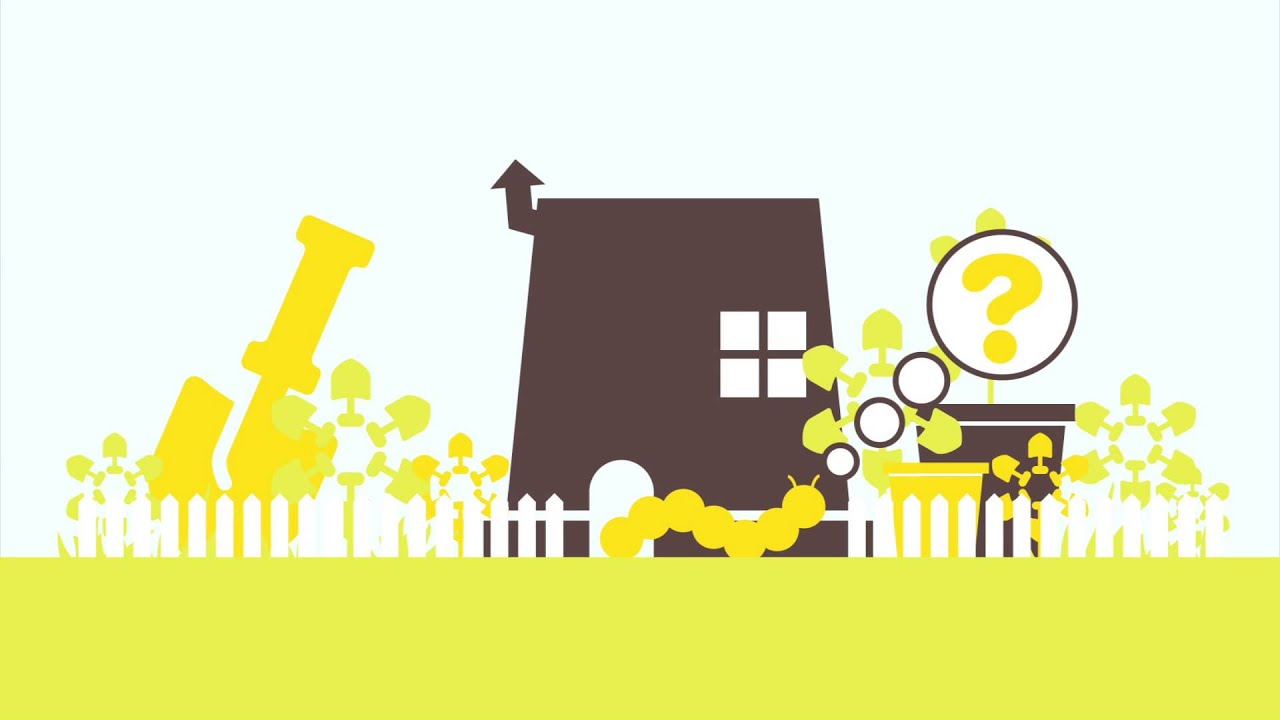 Foris Garden Centre & Irrigation Busselton Plants YouTube