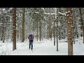 Апрельское чудо  -  весенняя лыжная прогулка в зимних лесах