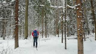 Апрельское чудо  -  весенняя лыжная прогулка в зимних лесах