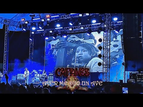 Caifanes - Ayer me dijo un ave | Emotivo homenaje (en vivo)