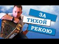 Паша гармонист - За тихой рекою (на эксклюзивной гармони)