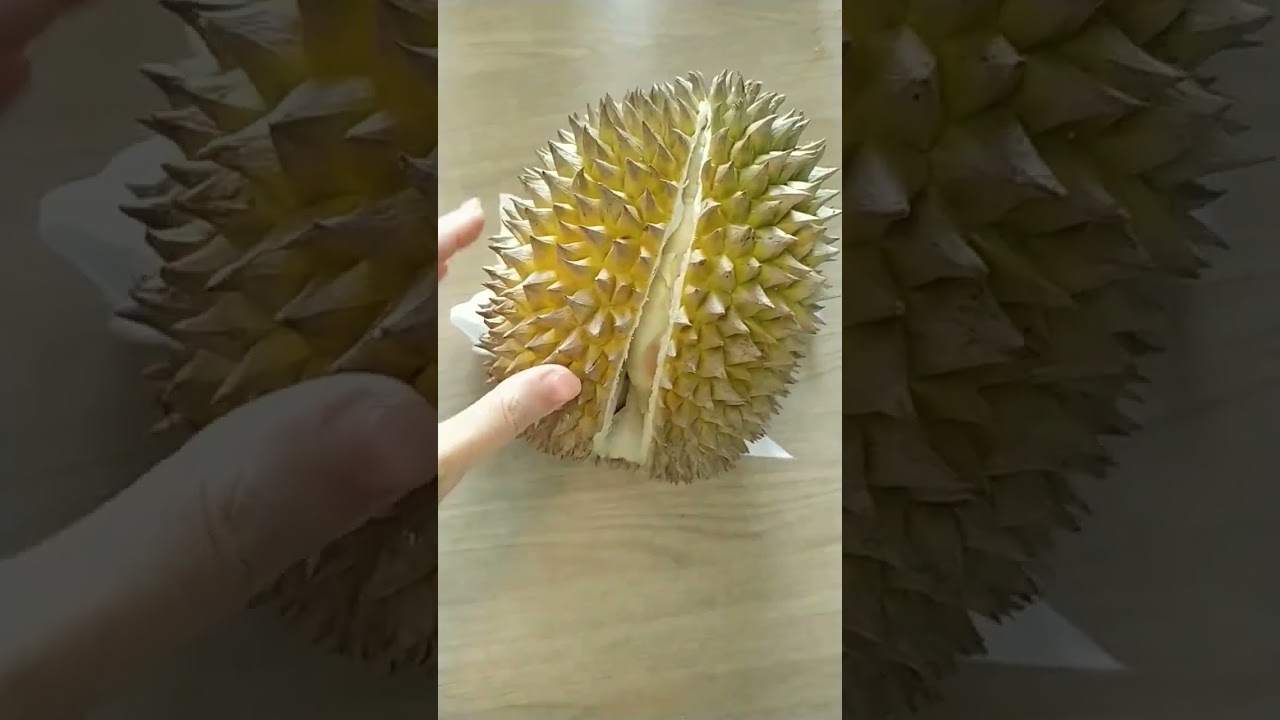 ripe durian