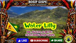 BOSIP GISPE - WATER LILLY