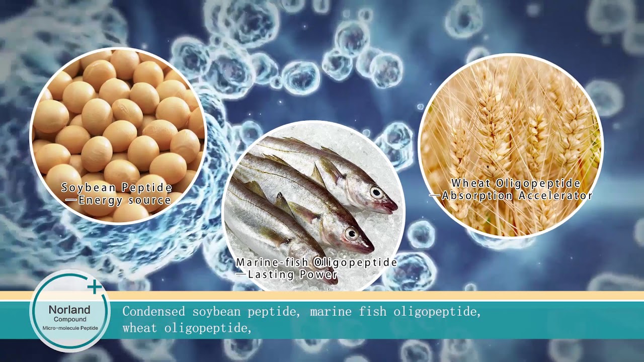 Norland PeptideMarket Version YouTube