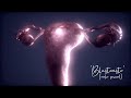 Los Mitocondrios ft. Diego Salvador - Blastocisto (Ciclo sexual)
