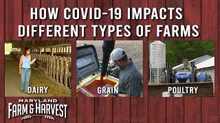 How COVID-19 is Impacting Different Types of Farms | Maryland Farm & Harvest