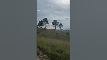 1 Pi liệu mua được chiếc view này không các bạn #investtv #pinetwork #pi #coin #crypto