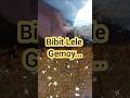 Bibit Lele Gemoy #fyp #shorts