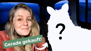 Thumbnail for Das Bauernhoftier, das ich nie haben wollte 🙈