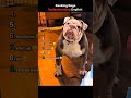 don't click the sound #funnymemes #memes #viral #viralmemes