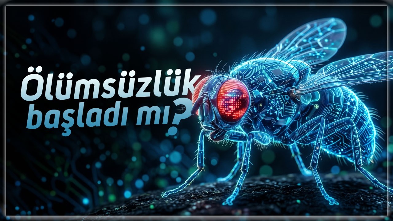 Ölümsüzlük Bir Sinekle Başladı