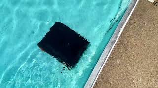 iGarden Obsidian Pool Cleaner Review – 4-Hour Runtime & AI Navigation Tested