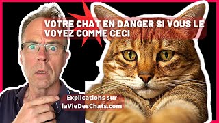 VOTRE CHAT EN DANGER SI VOUS LE VOYEZ COMME CECI