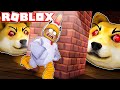 SCAPPIAMO DALLA PRIGIONE DEL CANE SU ROBLOX!!