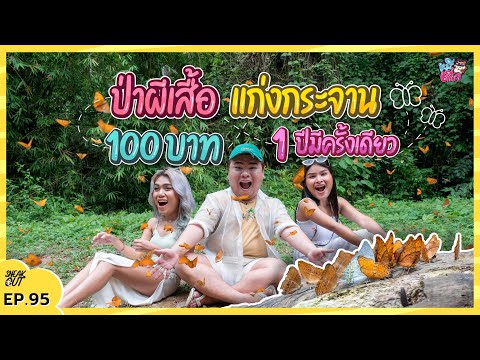 บุกป่าผีเสื้อ ‘บ้านกร่างแคมป์ แก่งกระจาน’ คนละ 100 บาท 1 ปีมีครั้งเดียว | หมีเที่ยว EP. 95