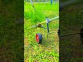 "Grass trimming method cutting tall weeds with wheeled trimmer"