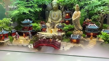 Bể cá bán cạn tiểu cảnh phật giáo đẹp