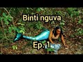 BINTI NGUVA EP 1 New Kp Bintinguva Bongotrending Rk