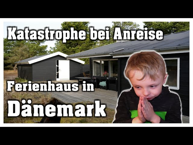 Bestes Ferienhaus Blavand mit Hund: Traumurlaub am Meer! 3 sddefault