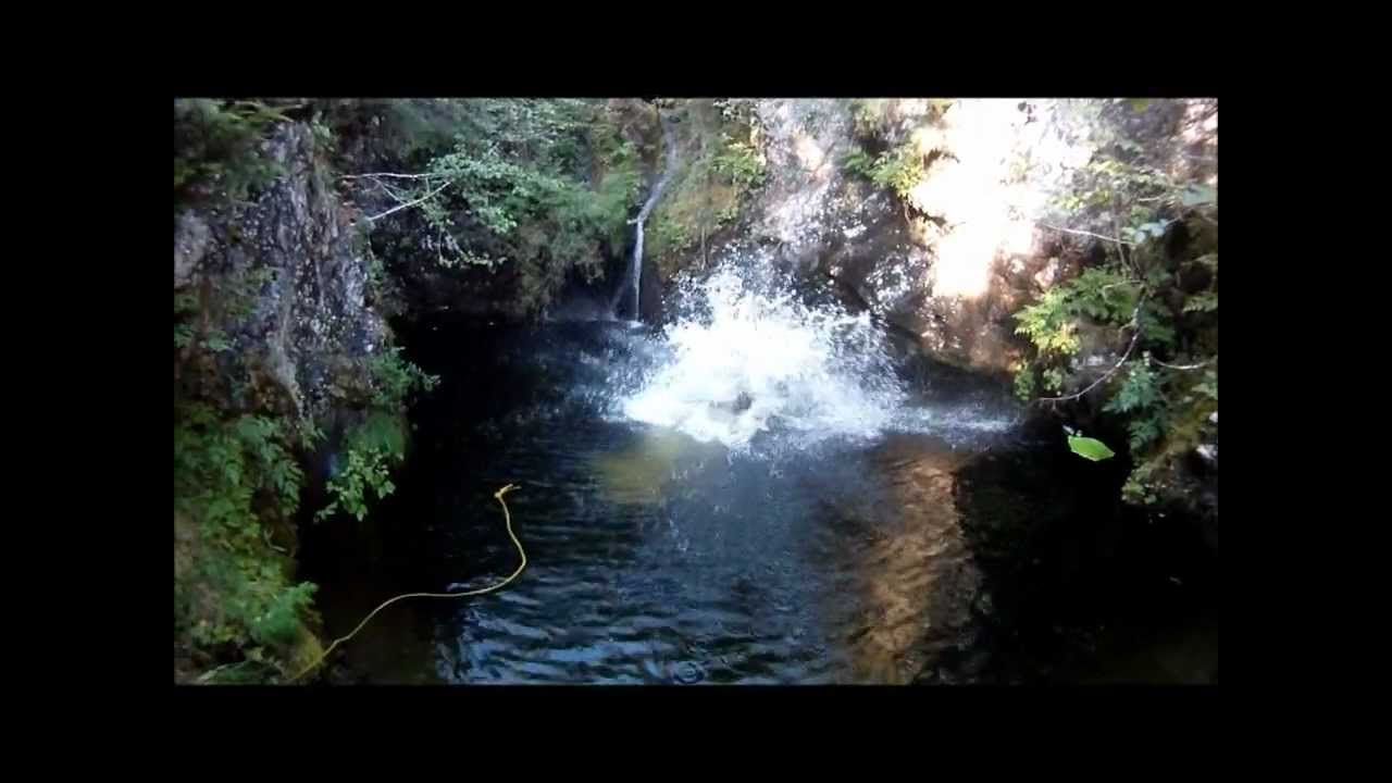 "The Watering Hole" Juneau AK