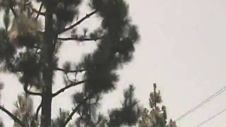 Dbm 24Vf Pp 0905400132