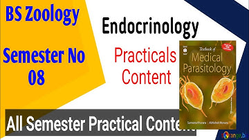 Endocrinology Practical Content || BS Zoology || Semester No 08