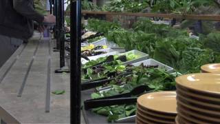 Bon Appetit at Colorado College