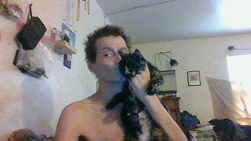 10PC CAL-HAWK 1/2 DRIVE SAE IMPACT SOCKET SET